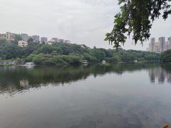 -重庆彩云湖湿地公园