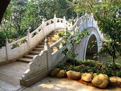 -金花茶公园