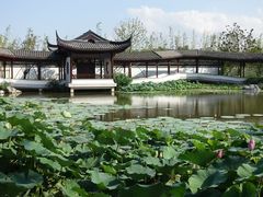 -上海滨江森林公园