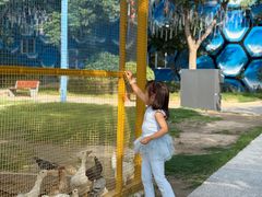 -华夏文旅海洋公园