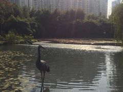 -苏州河梦清园环保主题公园