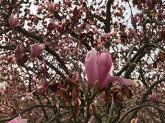 -白塘生态植物园