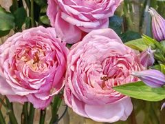 -一花一忆(松榆里市场店)