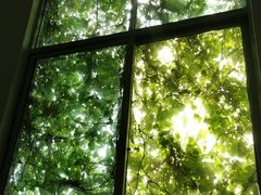 -东寨港红树林旅游区