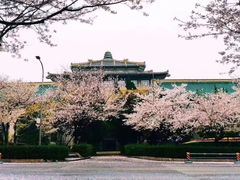-武汉大学-樱园