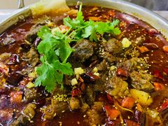 香辣牛肉锅仔-马黑哥椒麻鸡(清江山水店)