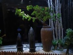 -纽斯桑拿会所(天山店)