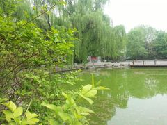 -玲珑塔公园