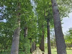 -晋祠公园