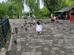 -北京舞蹈学院食堂