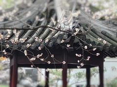 -豫园