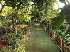 -呀路古热带植物园