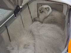 -达爱动物医院·犬猫分区·CT·复杂眼科(远洋山水分院)
