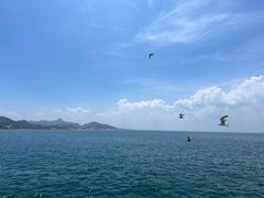 -海驴岛(荣成市)
