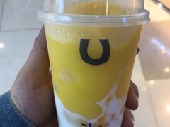-春丽小马(济南恒隆广场店)