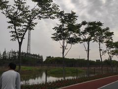 -上海长兴岛郊野公园