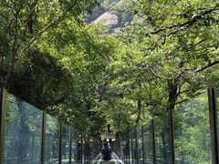 -嵖岈山风景区