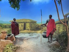 -国家自然博物馆