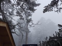 -海螺沟风景区