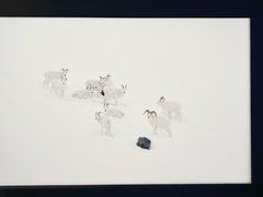 -罗红摄影艺术馆