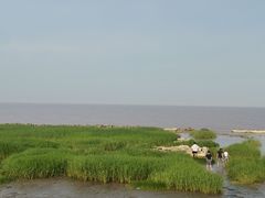 -南汇嘴观海公园