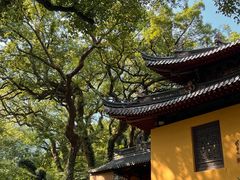 -普陀山风景名胜区-法雨禅寺