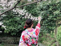 -有栖山 清光院 清水寺