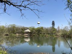 -西溪国家湿地公园