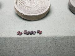-古陶文明博物馆