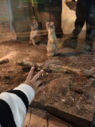 -Zoolung Zoolung动物主题公园(海信广场店)