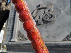 -和禄德冰糖葫芦