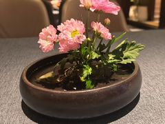 -喜湘宴·精致湖南菜(和平西桥店)