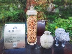 -广州神农草堂中医药博物馆