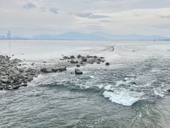 -深圳湾公园(南山区)