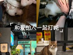 -咖法森林·咖啡  酒吧(天河店)