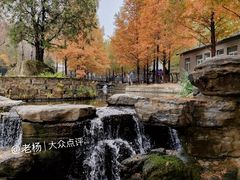 -白水寺森林公园