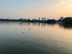 -海珠湖公园