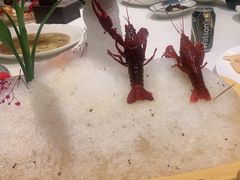 -宝燕海鲜(好爱店)
