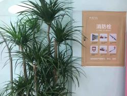 -JUVA郑州欧华医疗美容医院