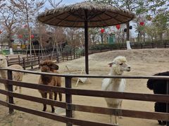 -盈香心动乐园
