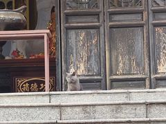 -孤山景区-孤山寺