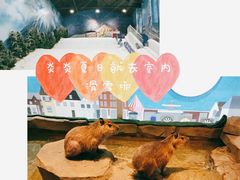-Mr·Kuma酷么先生雪之乐园