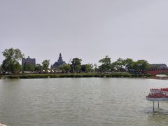 -荷兰花海