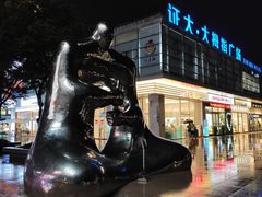 -证大大拇指广场(芳甸路店)