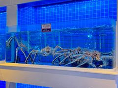 -金苑海鲜酒家(来魅力店)