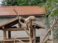 -石家庄市动物园