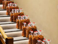 -杨厨的田园饭店(长城路店)