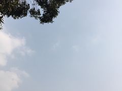 -梅香居农家乐(三圣乡店)