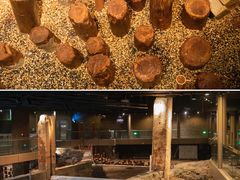 -元代水闸遗址博物馆