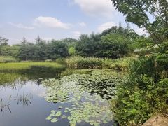 -白鹭湾湿地公园